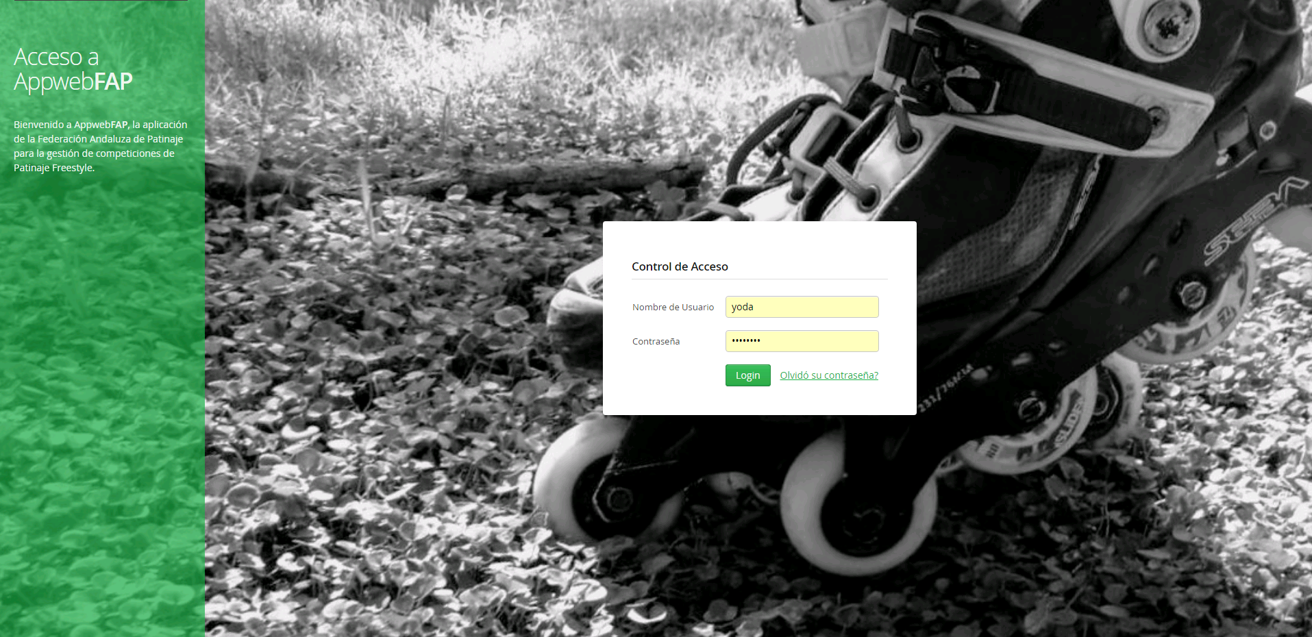 vaadin-free-skating-login_screen-1